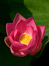 %_tempFileName10-20190620-0142%