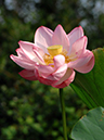 %_tempFileName02-20070728-0070%