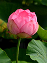 %_tempFileName03-20150712-0222%