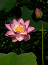 %_tempFileName04-20150725-0100%