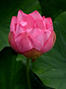 %_tempFileName09-20190705-0152%