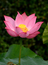%_tempFileName01-20120714-0078%