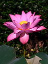 %_tempFileName04-20120805-0058%