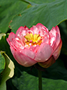 %_tempFileName03-20050625-0068%