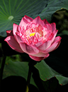 %_tempFileName04-20100725-0090%