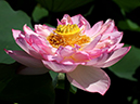 %_tempFileName05-20110709-0038%