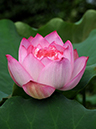 %_tempFileName06-20110716-0085%