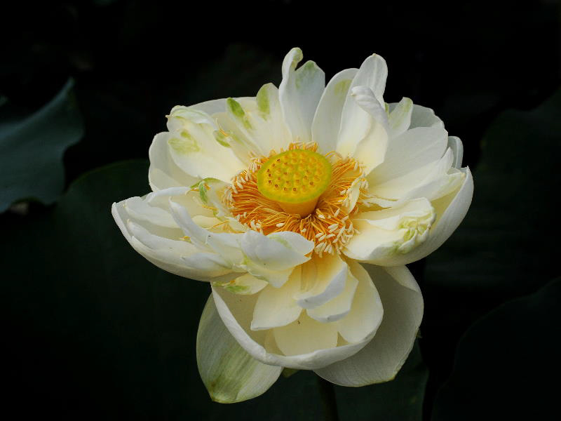%_tempFileName07-20090711-0104%