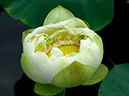 %_tempFileName01-20020711-0398%