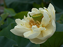 %_tempFileName02-20030713-0142%