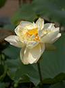 %_tempFileName03-20040711-0402%