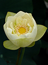 %_tempFileName04-20050724-0066%