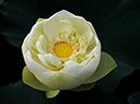 %_tempFileName06-20090711-0102%