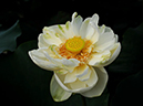 %_tempFileName07-20090711-0104%