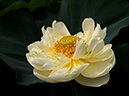 %_tempFileName08-20110703-0033%