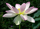 %_tempFileName02-20010722-0267%