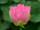%_tempFileName03-20010729-0184%