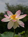 %_tempFileName05-20040619-0111%
