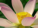 %_tempFileName08-20010722-0268%