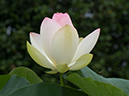 %_tempFileName03-20030713-0125%