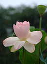 %_tempFileName07-20060720-0002%