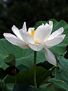 %_tempFileName03-20080706-0002%