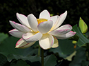 %_tempFileName04-20090725-0143%