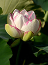 %_tempFileName08-20150725-0024%