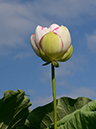 %_tempFileName10-20160718-0005%