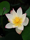 %_tempFileName04-20070701-0148%
