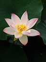 %_tempFileName05-20070701-0154%