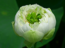 %_tempFileName01-20010722-0243%