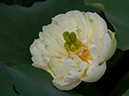 %_tempFileName02-20030721-0124%