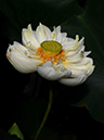 %_tempFileName08-20100808-0069%