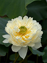 %_tempFileName03-20030721-0121%