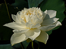 %_tempFileName04-20050820-0144%
