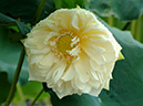 %_tempFileName05-20060720-0028%