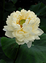 %_tempFileName06-20070701-0083%