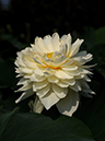 %_tempFileName08-20100727-0043%