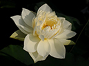 %_tempFileName10-20110814-0129%