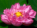 %_tempFileName01-20020721-0323%