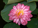 %_tempFileName04-20040620-0076%