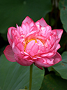 %_tempFileName06-20040719-0318%