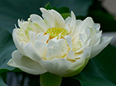 %_tempFileName01-20020711-0407%