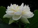 %_tempFileName04-20090718-0180%