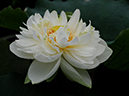 %_tempFileName05-20090718-0181%