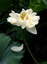 %_tempFileName06-20100710-0054%