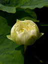 %_tempFileName07-20190620-0117%