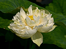 %_tempFileName09-20190626-0083%