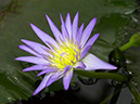 %_tempFileName04-20010303-0137%